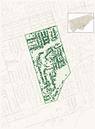 Map of Woodbine Corridor showing the neighbourhood outlined in green with every city-owned street tree as a dark-green dot, plus a locator inset showing its position in Toronto.