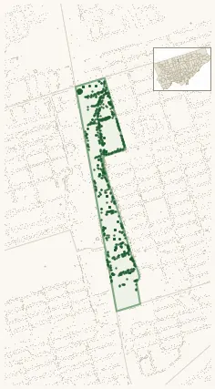Map of Yonge-Doris showing the neighbourhood outlined in green with every city-owned street tree as a dark-green dot, plus a locator inset showing its position in Toronto.