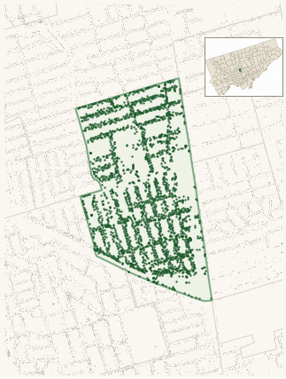 Map of Yonge-Eglinton showing the neighbourhood outlined in green with every city-owned street tree as a dark-green dot, plus a locator inset showing its position in Toronto.