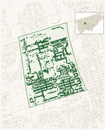 Map of Yorkdale-Glen Park showing the neighbourhood outlined in green with every city-owned street tree as a dark-green dot, plus a locator inset showing its position in Toronto.