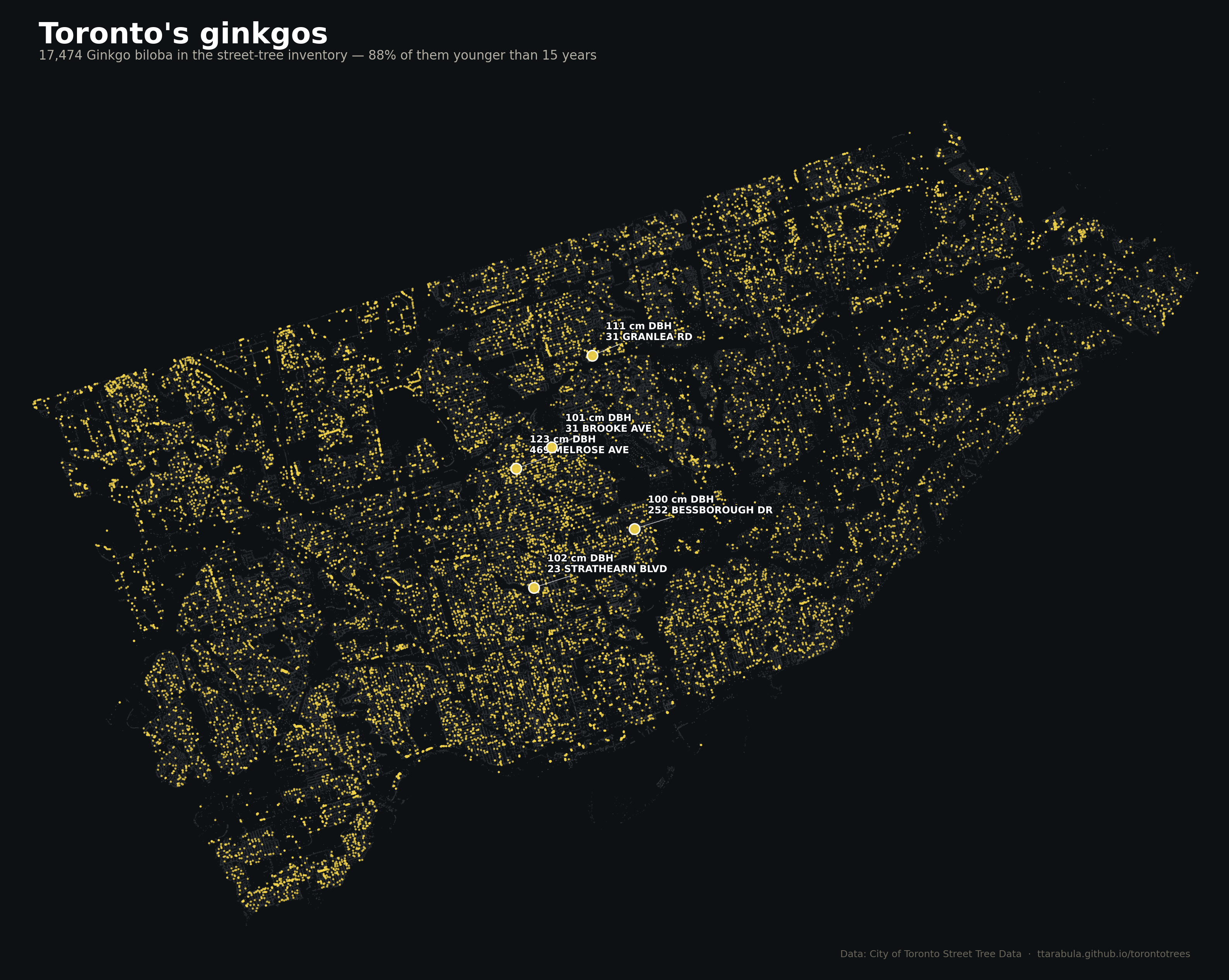 Map of Toronto with ginkgo trees as yellow-gold dots.