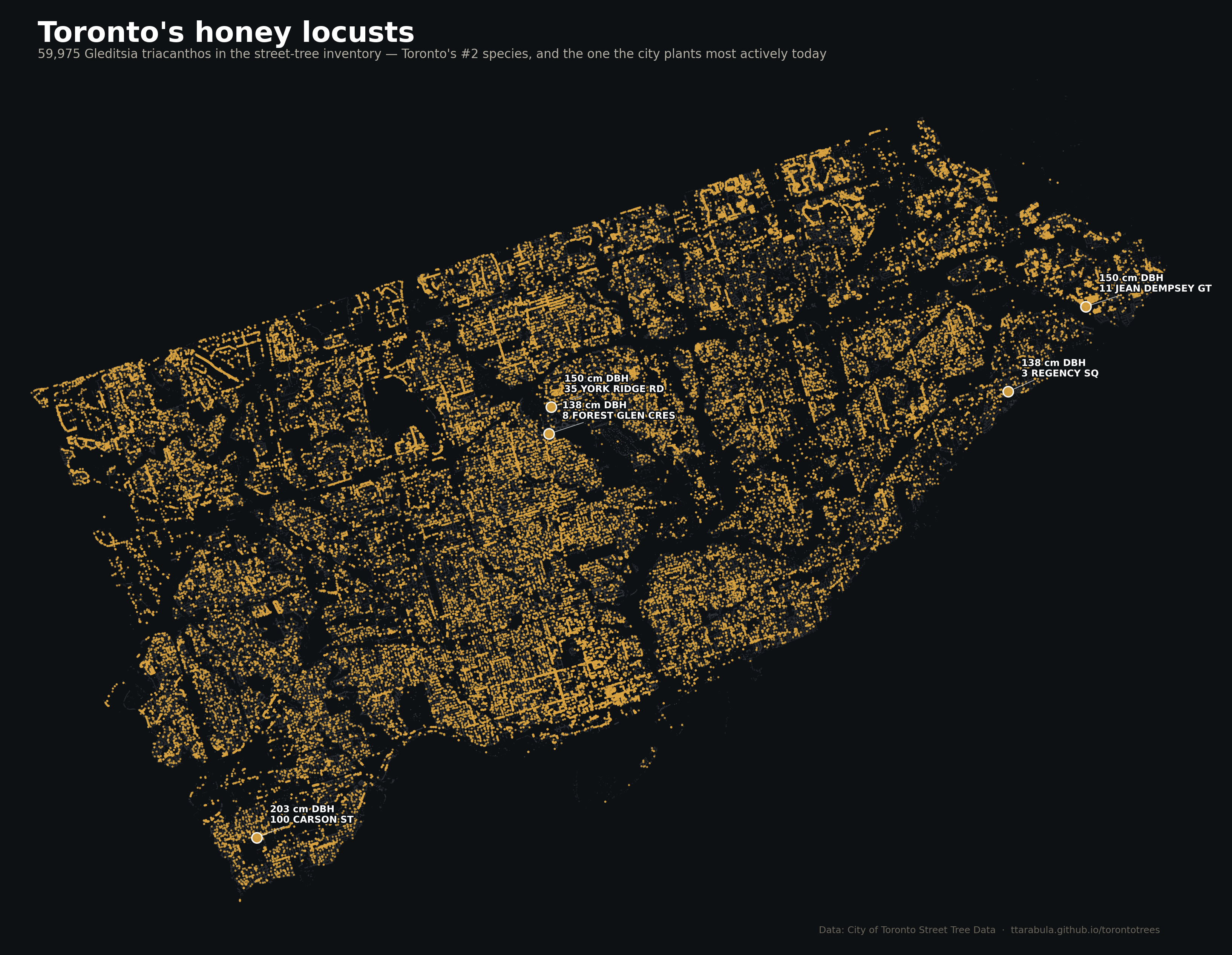 Map of Toronto showing every honey locust tree as a gold dot.