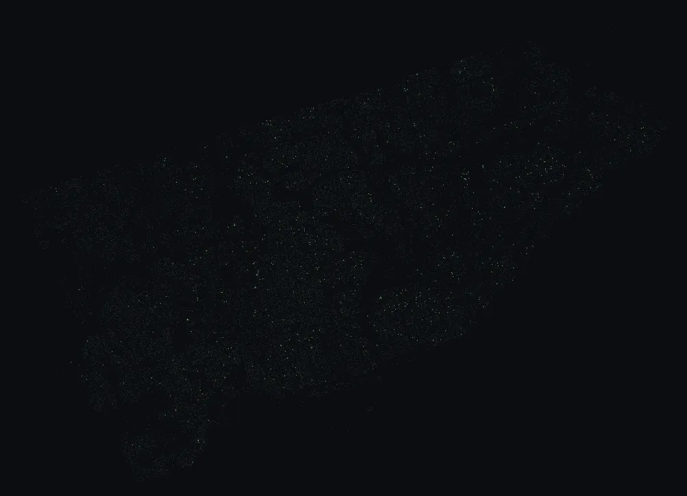 Map of Toronto with every amur maple highlighted, over a dimmed dot-map of every other species in the city.