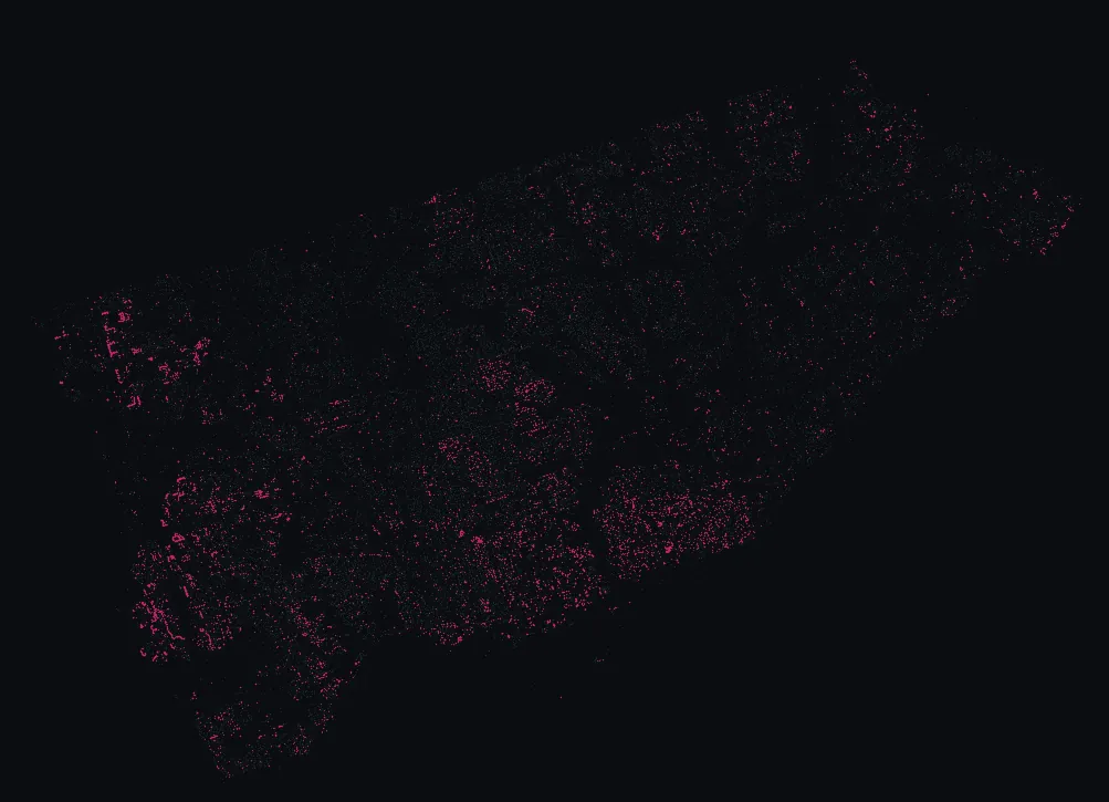 Map of Toronto with every linden highlighted, over a dimmed dot-map of every other species in the city.
