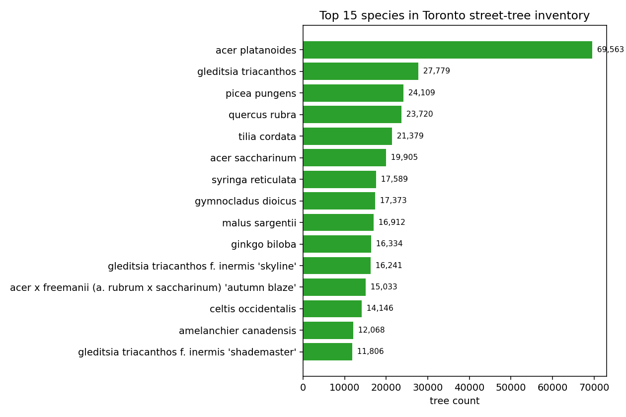 Horizontal bar chart of the top 15 species in Toronto's street-tree inventory, with Norway maple at 69,563 trees, honey locust at 27,779, Colorado blue spruce at 24,109, red oak at 23,720, and littleleaf linden at 21,379.