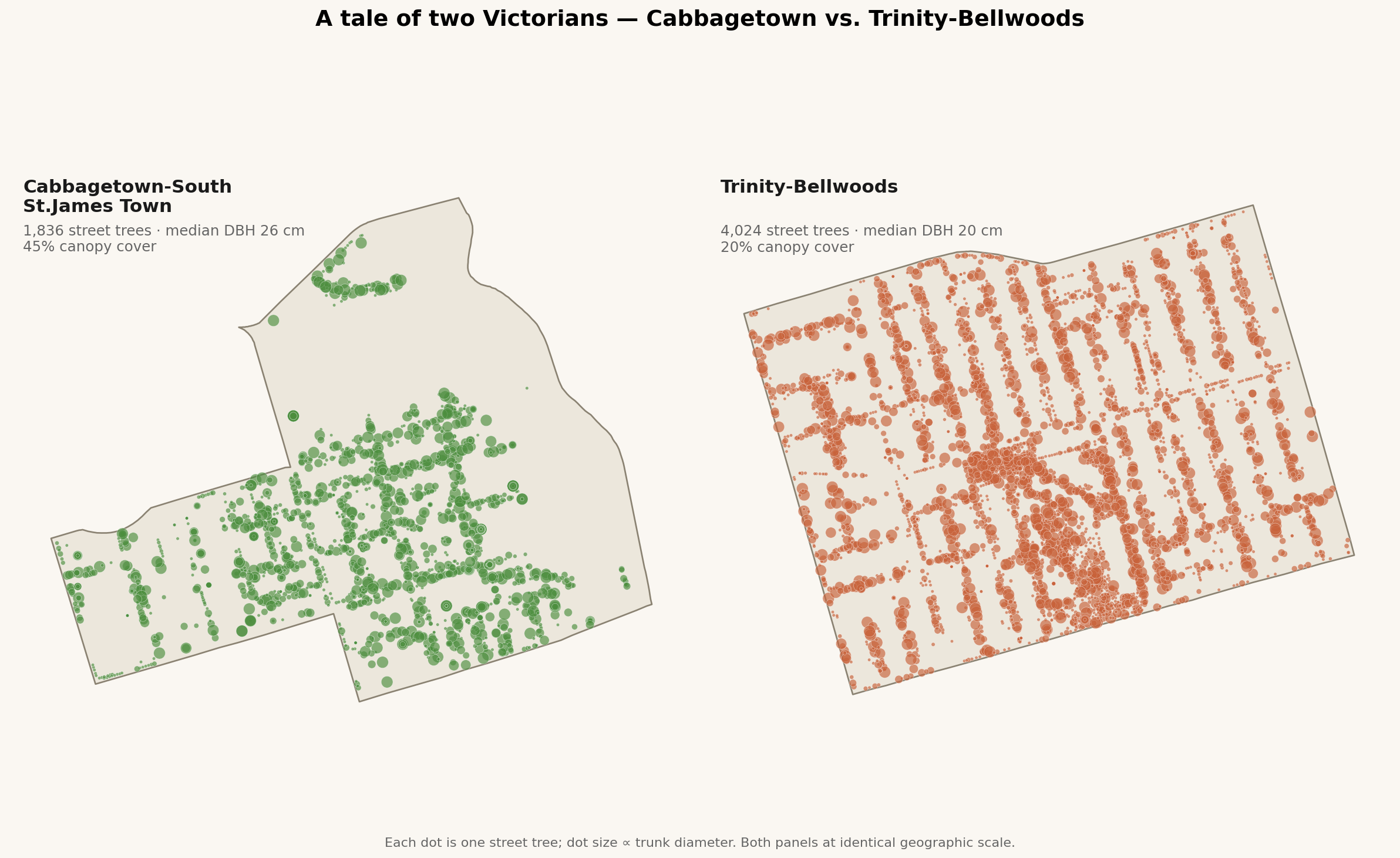Side-by-side street-tree map of Cabbagetown and Trinity-Bellwoods.