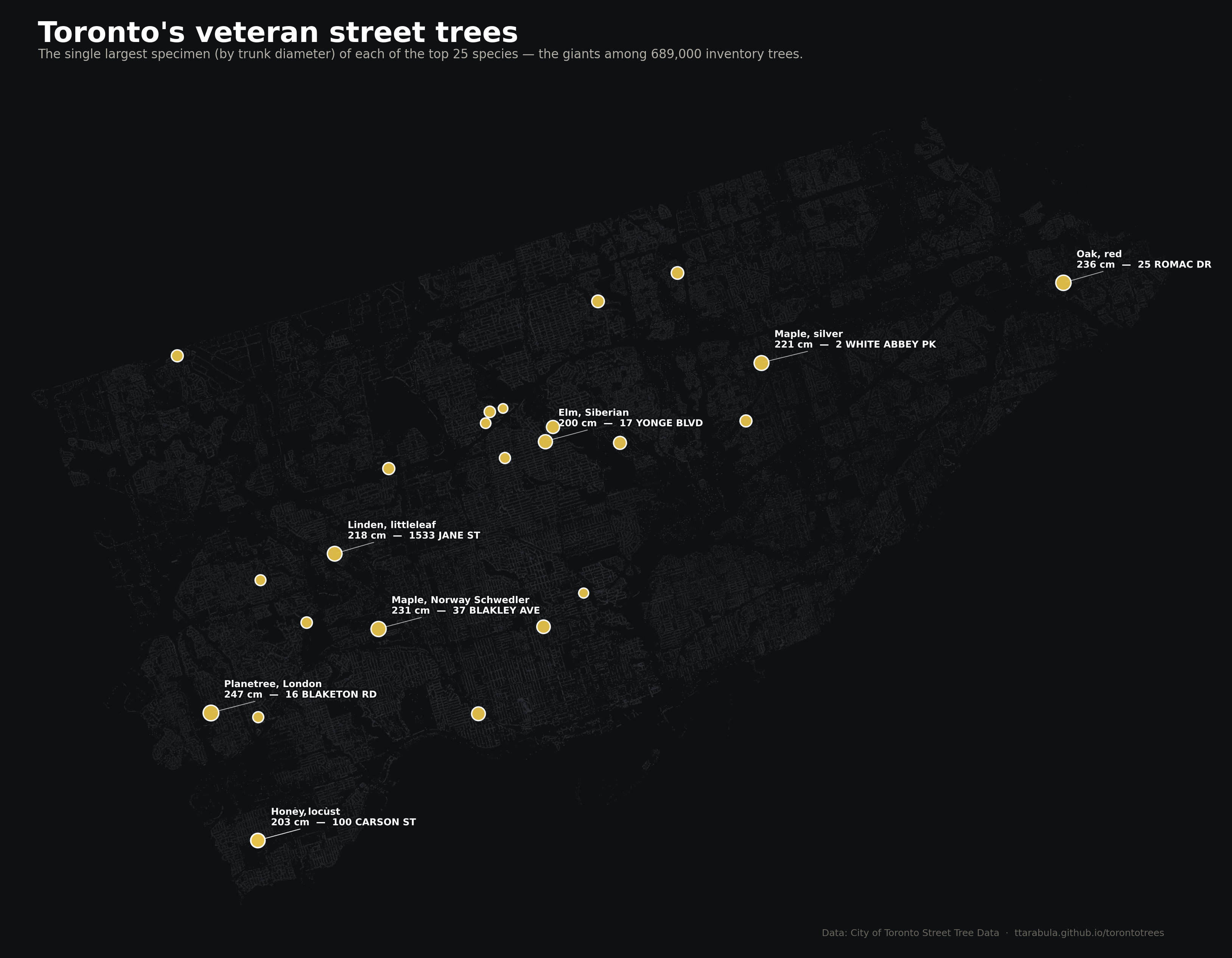 Map of Toronto with 25 gold dots marking the largest specimen of each top species.